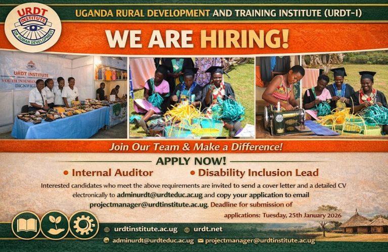 Opportunities for Disability Inclusion Lead & Internal Auditor – SIYEP Project”